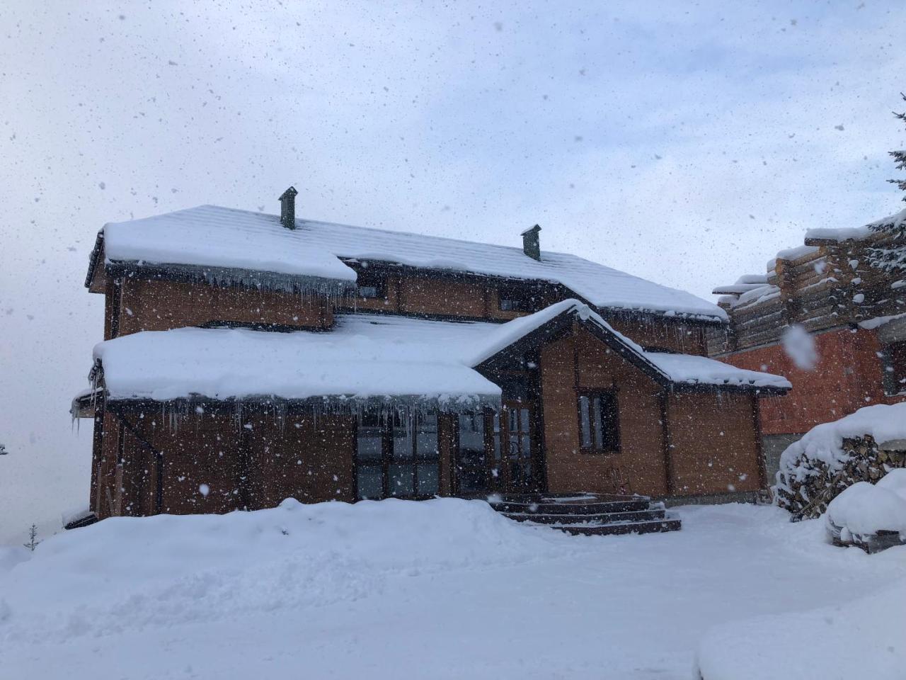 Ferienwohnung Golden Nest Jablunyzja Exterior foto