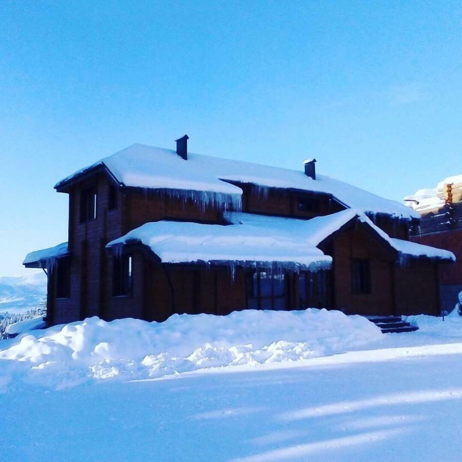 Ferienwohnung Golden Nest Jablunyzja Exterior foto